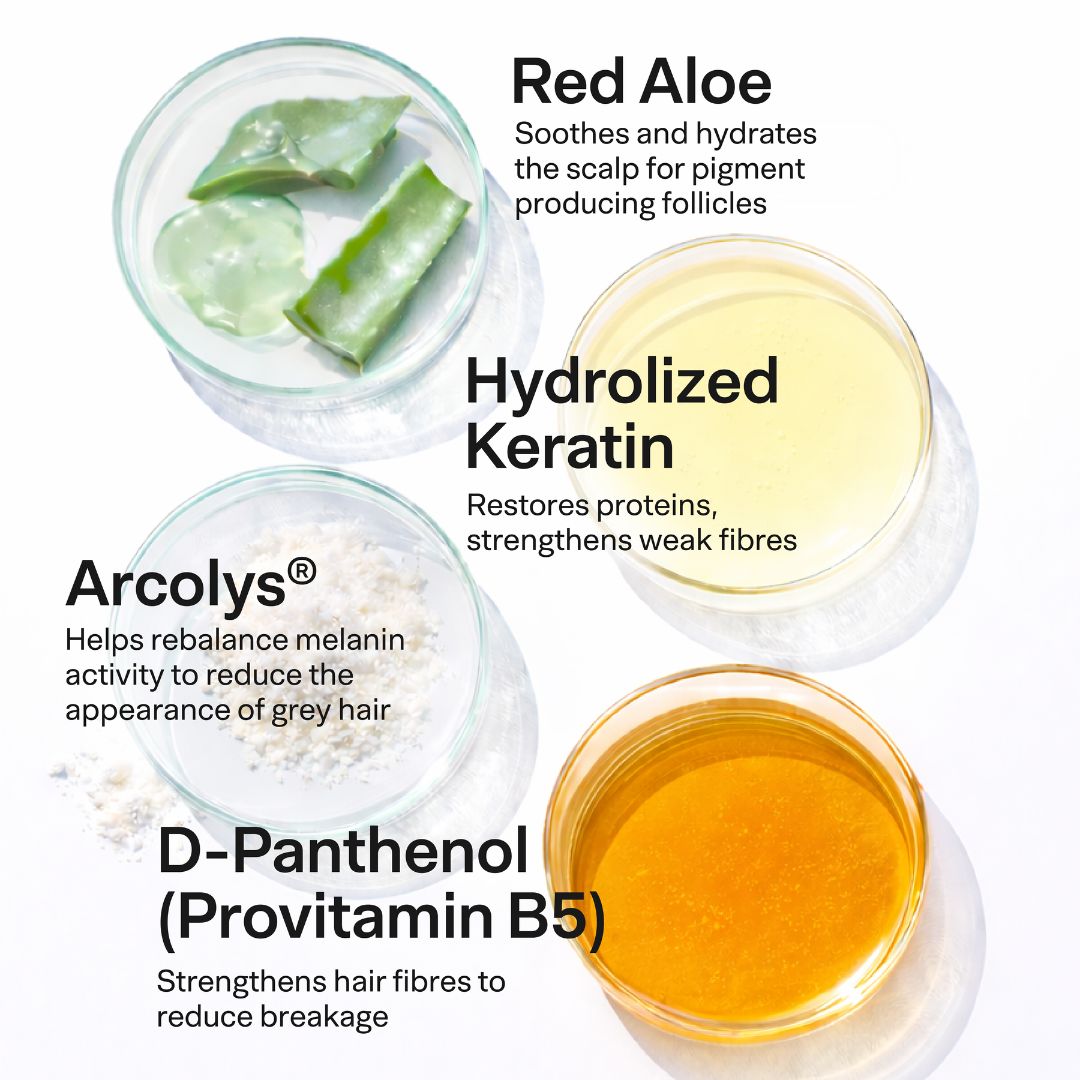 Advanced Daily Anti-Grey Kit with Black Serum & Hairfuel | Complete Premature Greying Care System