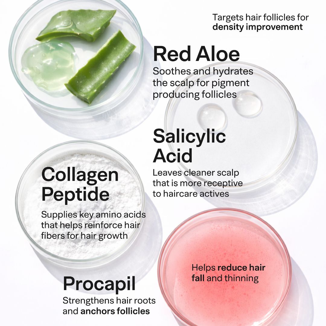 Oil Control Hairfall Kit for Oily Scalp | Hair Fall Treatment Routine